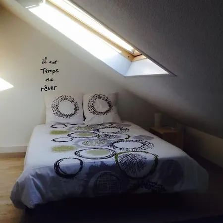 Apartman 2 Pieces 43 M² Hypercentre A 2 Min Marche De Noel *